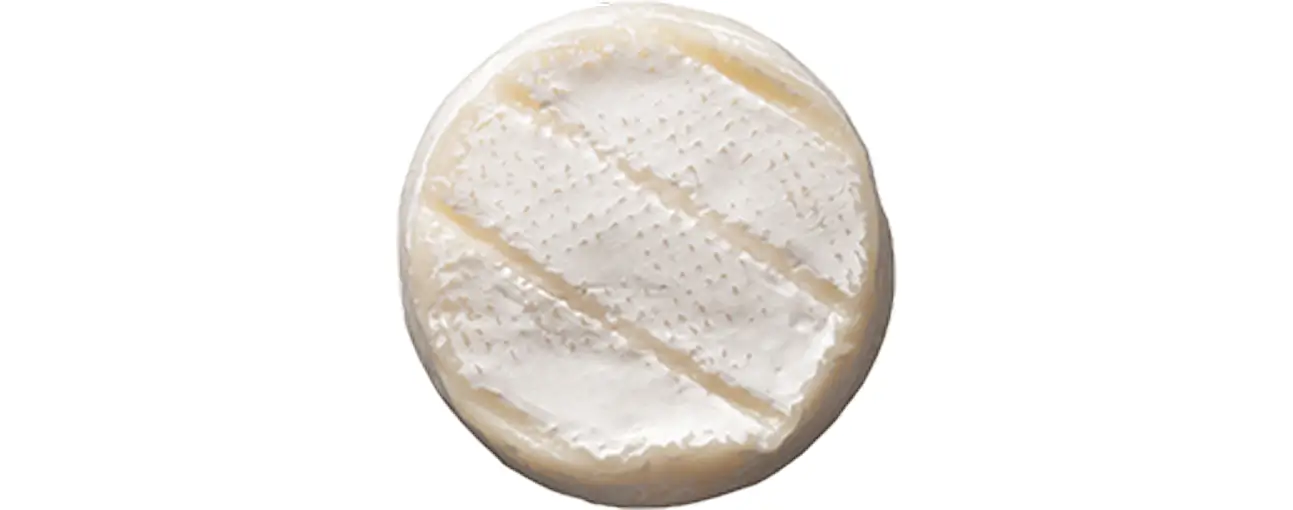 Round wheel of soft cheese with white rind and diagonal scoring marks on top surface